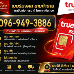 Lucky_true0969493886